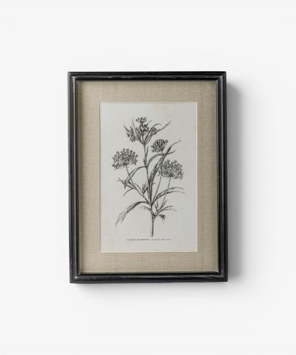 Heirloom Wall Art Milkweed