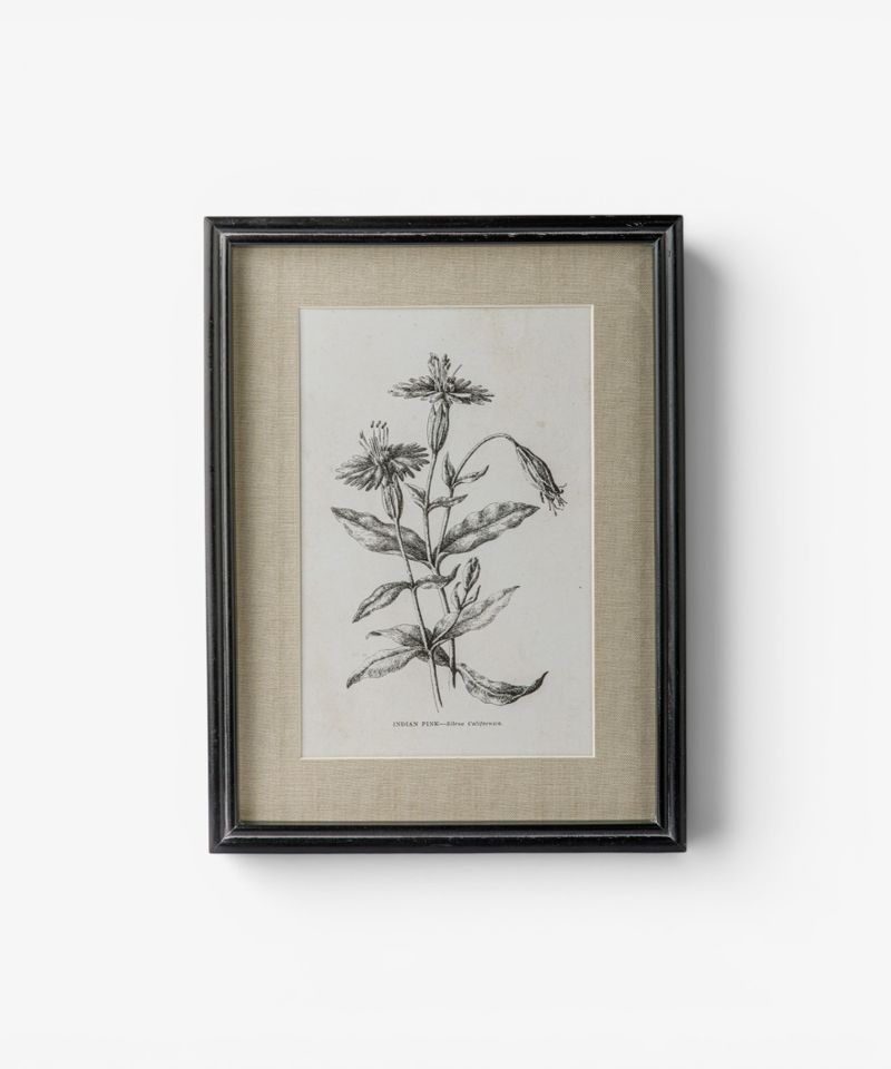 Heirloom Wall Art Indian Pink