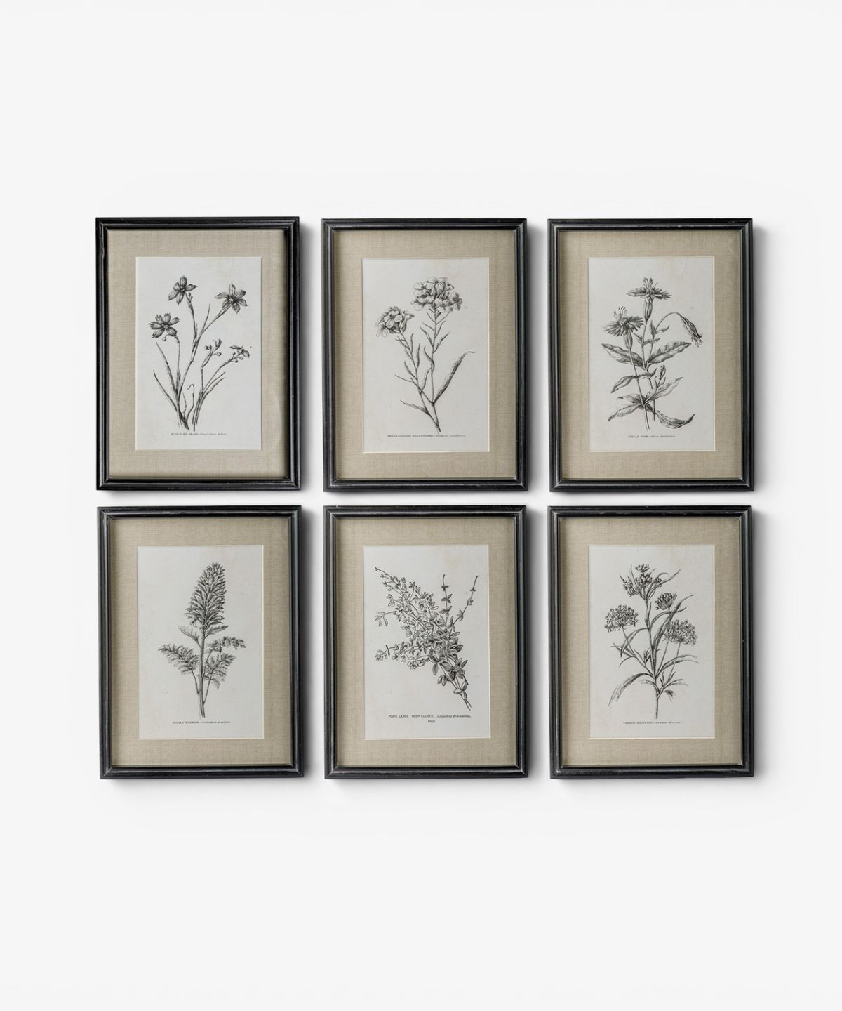 Heirloom Wall Art Indian Pink