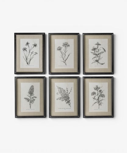 Heirloom Wall Art Indian Pink
