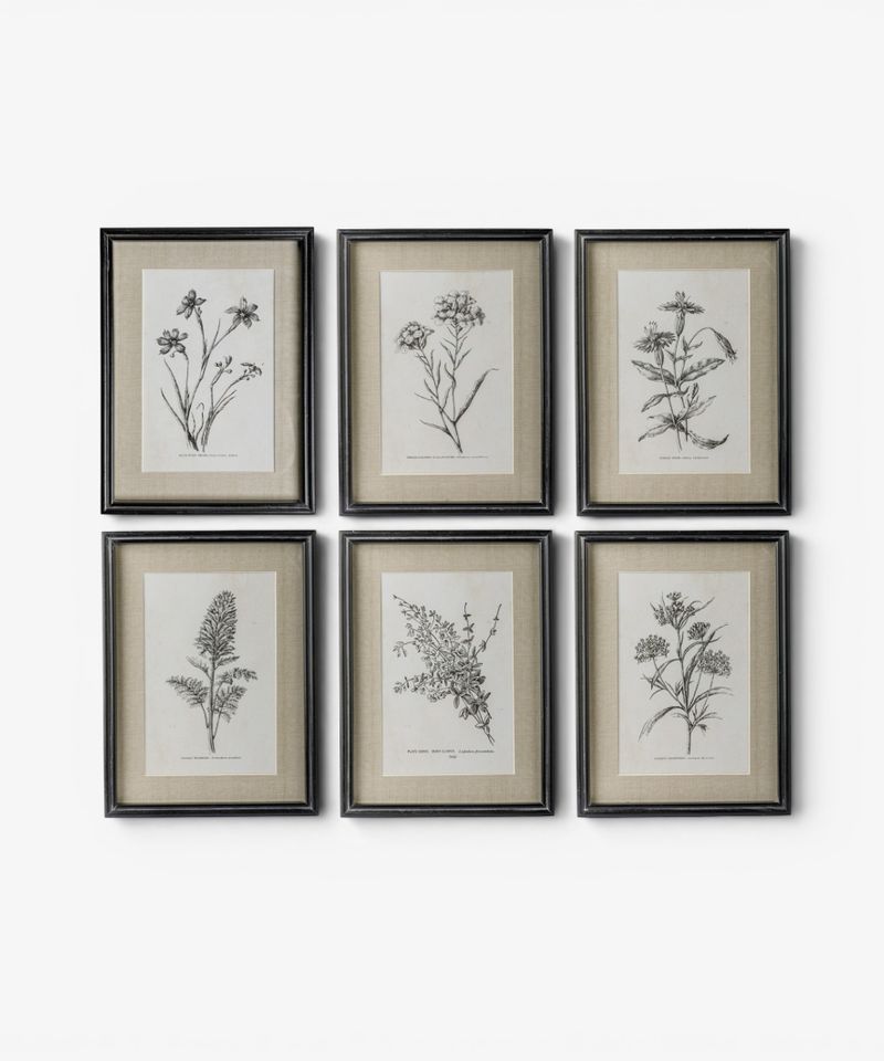 Heirloom Wall Art Indian Pink