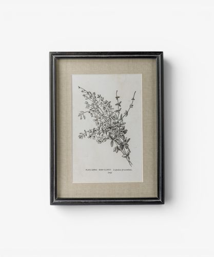 Heirloom Wall Art Bush Clover