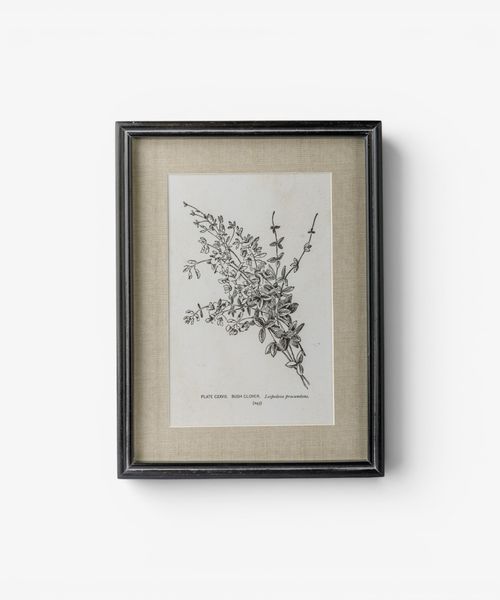 Heirloom Wall Art Bush Clover