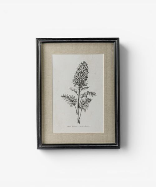 Heirloom Wall Art Indian Warrior