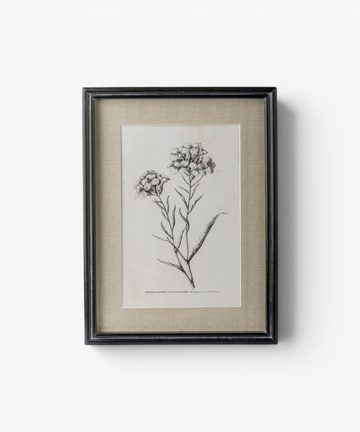 Heirloom Wall Art Wall Flower
