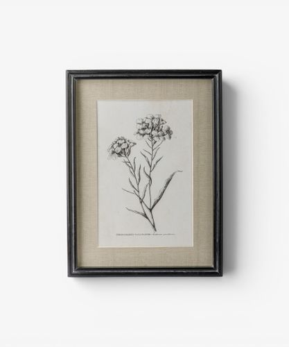 Heirloom Wall Art Wall Flower
