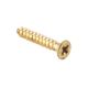 WOOD SCREWS POLISHED BRASS