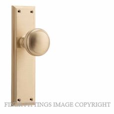 TRADCO 21366 MILTON KNOB ON LONG PLATE UNLACQUERED SATIN BRASS