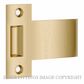 IVER 21962 EXTENDED STRIKER TO SUIT TUBE LATCH ROLLER POLISHED BRASS