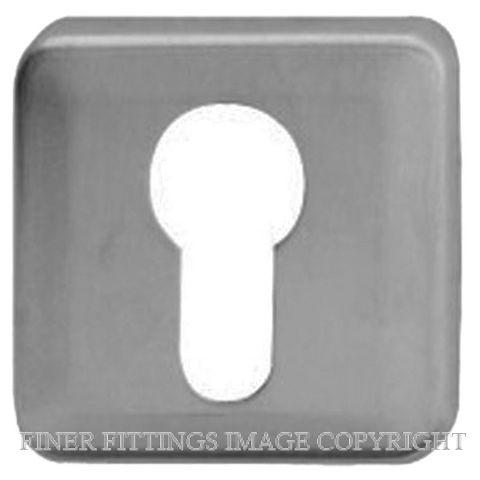 PARISI P7389 Y EURO ESCUTCHEON