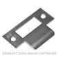 LEGGE SP Z994072 SS 990 STRIKE PLATE SATIN STAINLESS