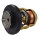 Thermostats & Components