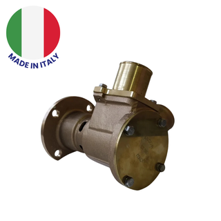 Raw Water Pumps