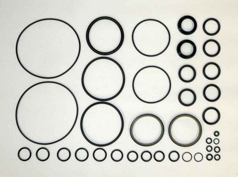 Trim Ram Seal kit - Johnson/Evinrude 50-300Hp