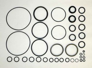 Trim Ram Seal kit - Johnson/Evinrude 50-300Hp