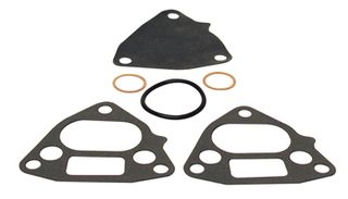 Fuel Pump Diaphragm Kit