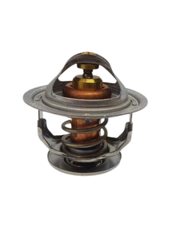 Yanmar Thermostat 6LYM 76.5 Deg