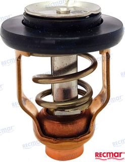 Suzuki Thermostat DF90-300 71 Deg