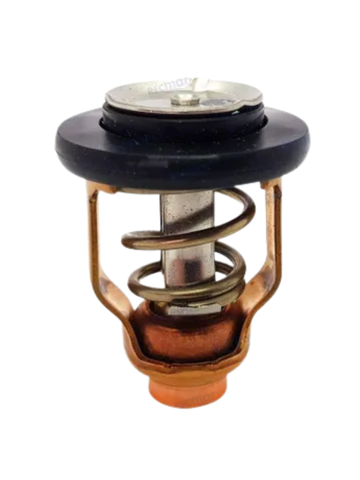 Suzuki Thermostat DF90-300 71 Deg