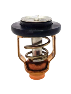 Suzuki Thermostat DF90-300 71 Deg