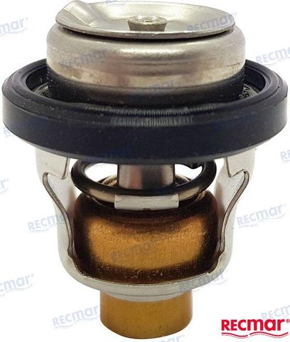 Suzuki Thermostat DT9.9-30 50 Deg