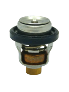 Suzuki Thermostat DT9.9-40 & DF9.9-70 60 Deg