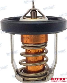 Suzuki Thermostat DF8-30 60 Deg