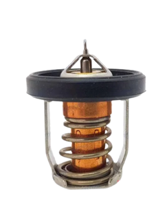 Suzuki Thermostat DF8-30 60 Deg