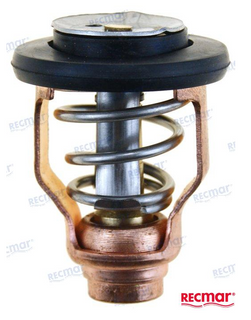 Yamaha F225-F300 2006- Thermostat