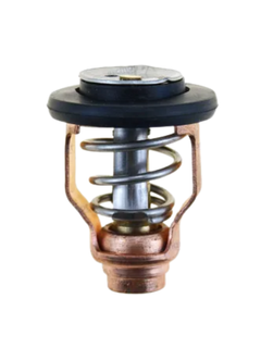 Yamaha F225-F300 2006- Thermostat