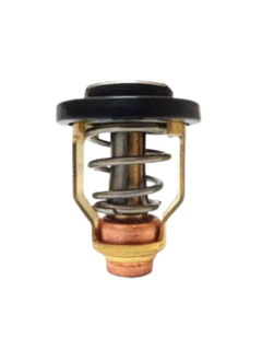 Yamaha 115 / 200-300 Hp Thermostat ( 4 Stroke )