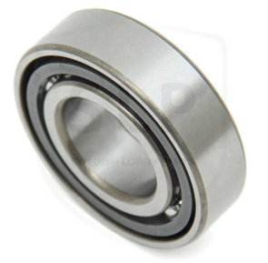 Bearing Lower DP C-G