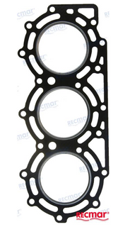 Suzuki DT55 Head Gasket