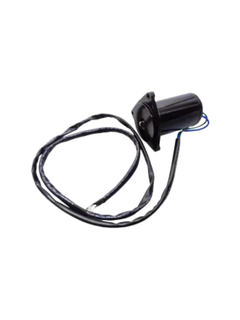 Yamaha 40-90 Hp Tilt / Trim Motor