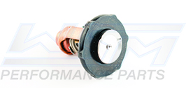 Thermostat Yamaha 75-90 HP 4-Stroke 16-UP