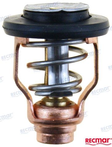 Thermostat Yamaha F100 (only) 55 Deg