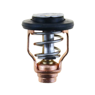 Yamaha Thermostat F100 (only) 55 Deg
