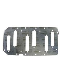 Mercury/Mariner Reed Block Gasket 110-200 V^ 2.5L DFI