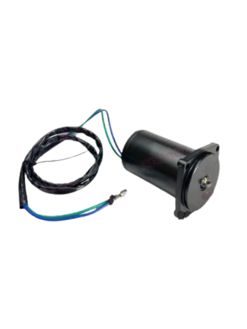 Johnson / Evinrude Trim Motor 40 / 50 Hp J-PL 2005 | 12V BI Ro