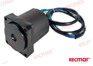 Johnson / Evinrude 130 / 200-250 Hp Tilt / Trim Motor