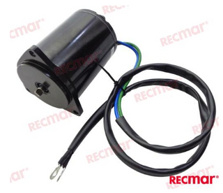 Yamaha 115-225 Hp Tilt / Trim Motor