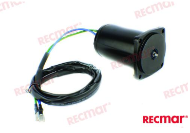 Johnson / Evinrude / Suzuki 40/50 4 Stroke Tilt / Trim Motor