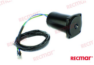 Johnson / Evinrude / Suzuki 40/50 4 Stroke Tilt / Trim Motor