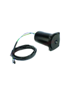 Johnson / Evinrude / Suzuki Trim Motor 40/50 4 Stroke