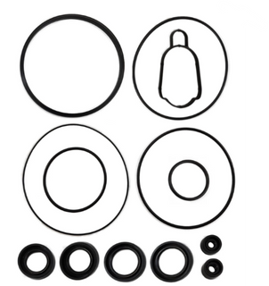 Gearcase Seal Kit Suzuki DF 250-300 All