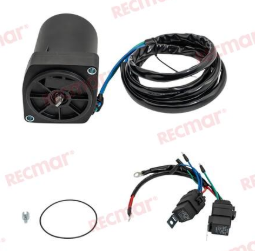 Yamaha F300-F350 Hp Tilt / Trim Motor