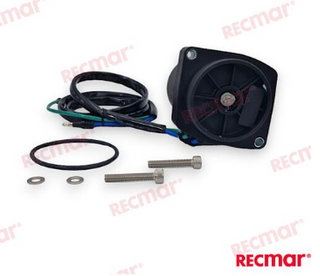 Mercury / Mariner Tilt / Trim Motor 65-115 EFI  New V6 & V8 EFI
