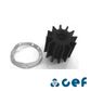 Impeller Jabsco 17936-0001 Johnson 09-0814B