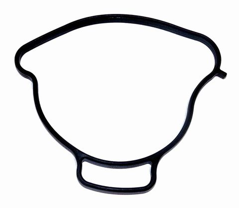 Sea-Doo 900 Spark Water Pump Gasket