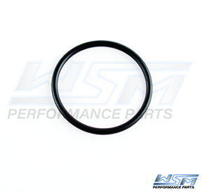 Sea-Doo 1503 / 1630 4-Tec 02-26 Cam Cover O-Ring